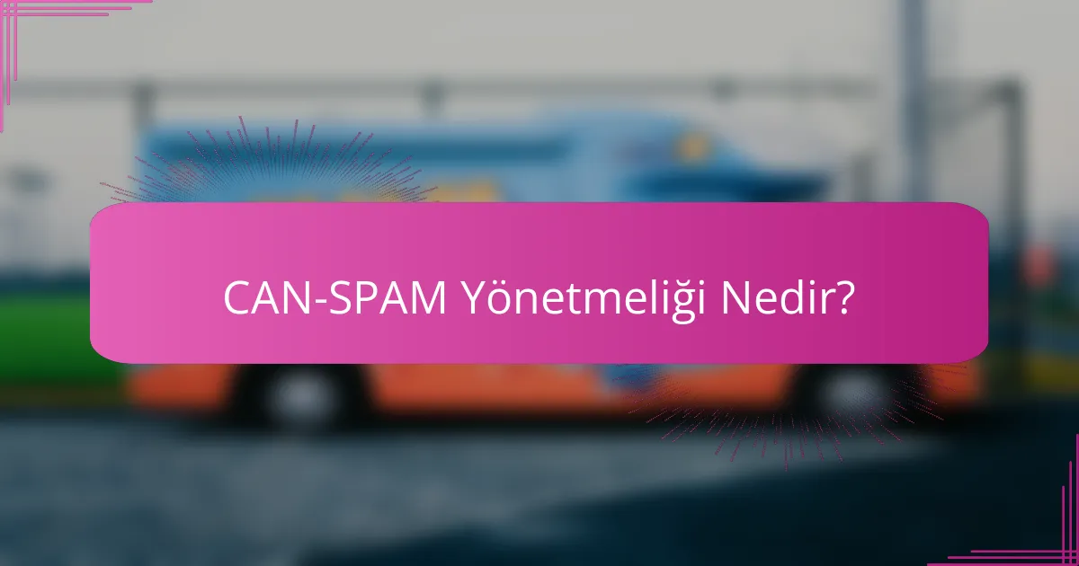 CAN-SPAM Yönetmeliği Nedir?
