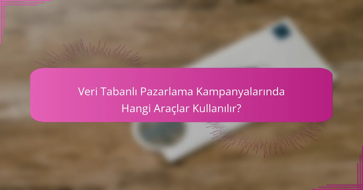 Veri Tabanlı Pazarlama Kampanyalarında Hangi Araçlar Kullanılır?